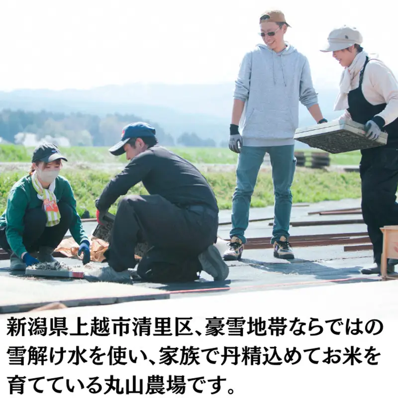 令和8年 新潟県産 特別栽培米 新米 新之助 5kg 5キロ上越市清里区 新潟 精米 従来品種 希少 限定 送料無料 丸山農場