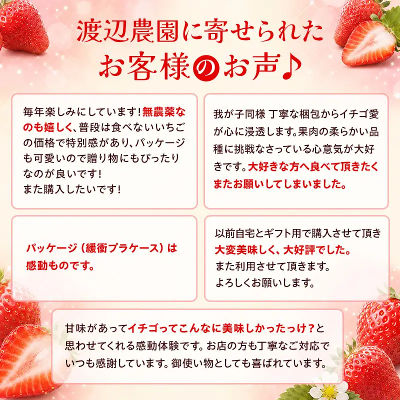 【先行予約 | 2027年6月上旬より出荷開始】いちご 中粒 カラダよろこぶ 越後姫 約200g×2パック (18～30粒入り) イチゴ 苺 定植後化学農薬不使用 渡辺農園 上越市 新潟県 