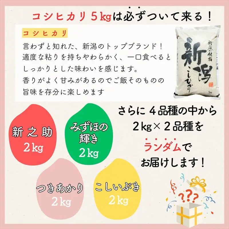 令和8年産 新潟県上越市産米 食べ比べ 9kg 【コシヒカリ 5kgと2kg×2品種】 新之助 こしいぶき つきあかり みずほの輝き ランダム おまかせ セット 【1月下旬発送】 新米 精米 米ヴィレッジさんわ