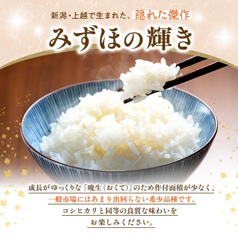 令和8年産 先行予約 新潟県 上越市産米 みずほの輝き 定期便 5kg×3回 計15kg 3か月 新米 精米 米ヴィレッジさんわ 上越市三和区