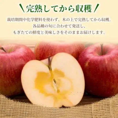 【甘くてみずみずしい】 りんご 「葉取らずふじ」家庭用 約5kg (約14～20個入) 青森市 産地【配送不可地域：離島】【1785149】