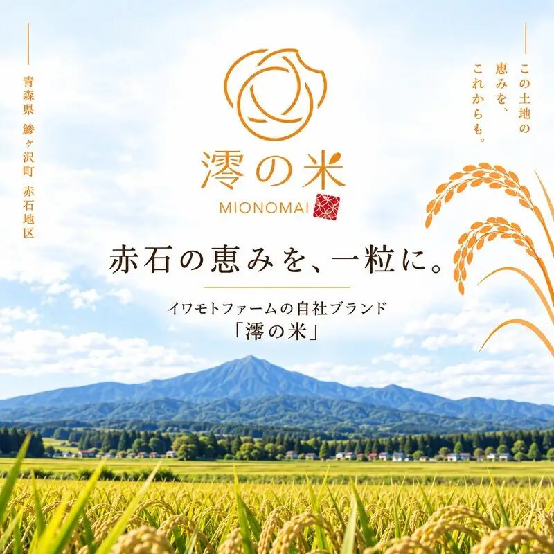 《 6ヶ月定期便 》 令和8年産 まっしぐら 白米 5㎏ （5㎏×1） 青森県産 イワモトファーム まっしぐら