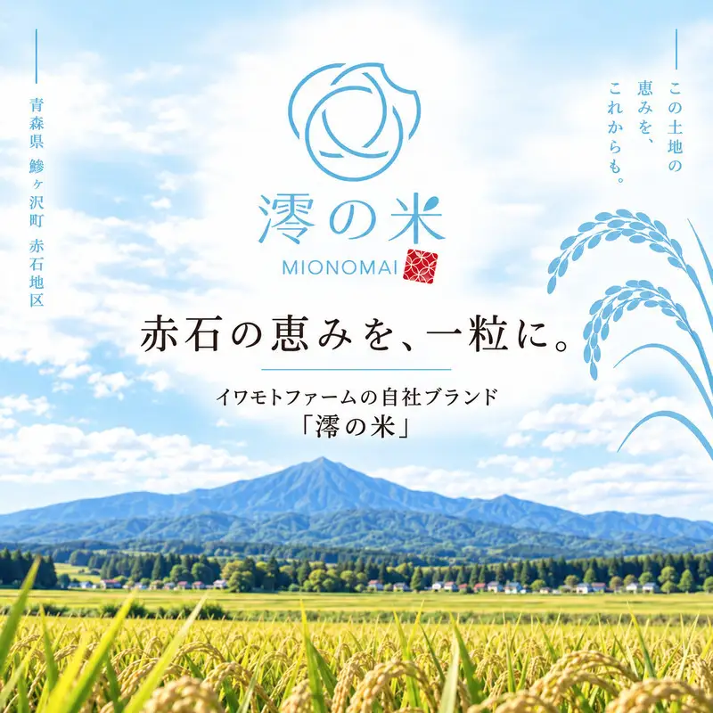 《 3ヶ月定期便 》令和8年産 はれわたり 玄米 10kg （5㎏×2） 青森県産 イワモトファーム はれわたり
