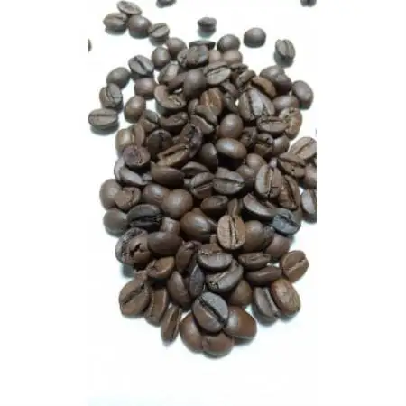 直火自家焙煎　ブラジルモジアナ 100g(豆) x 3つ【1784852】