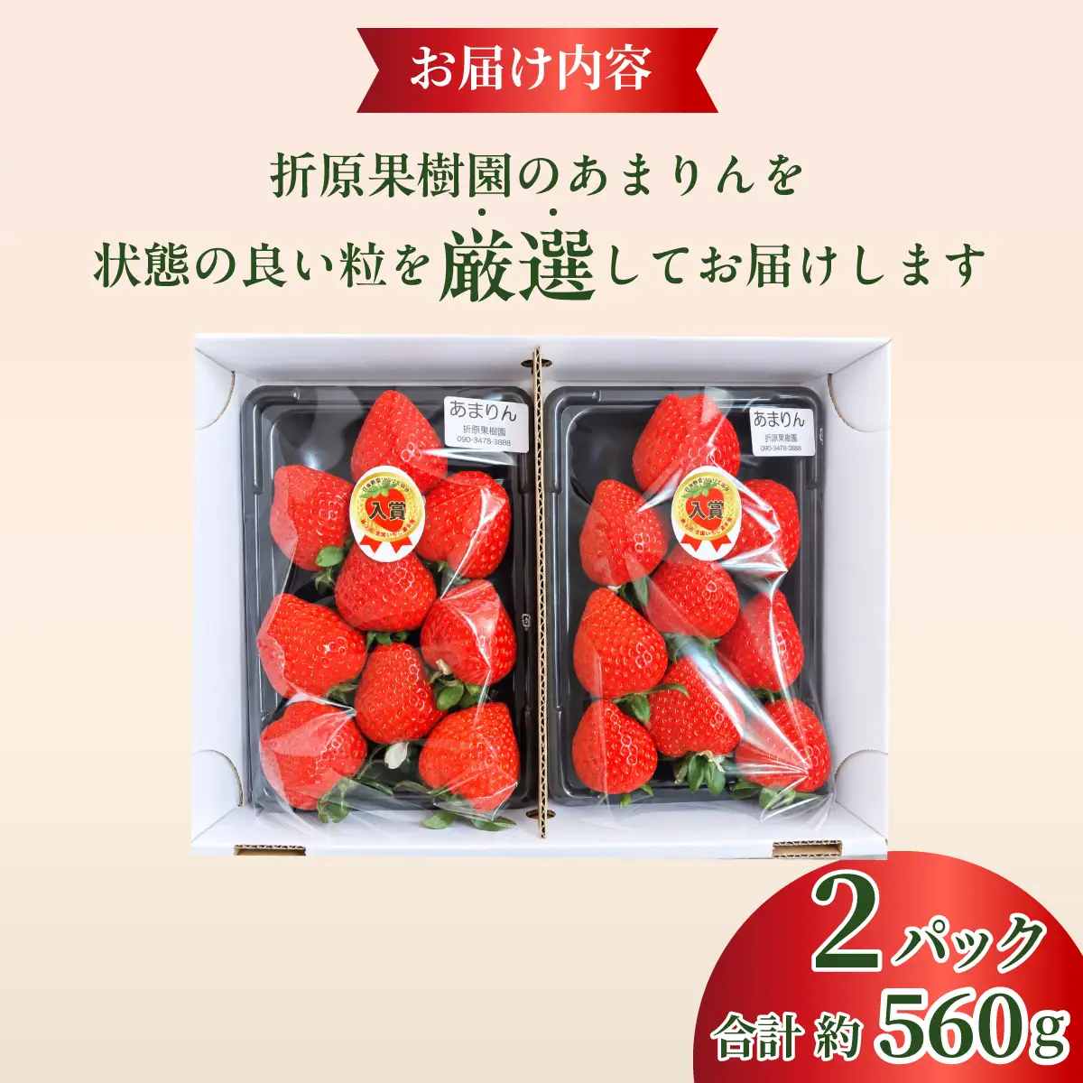 【先行予約】いちご あまりん 約500g 折原果樹園 あまりん
