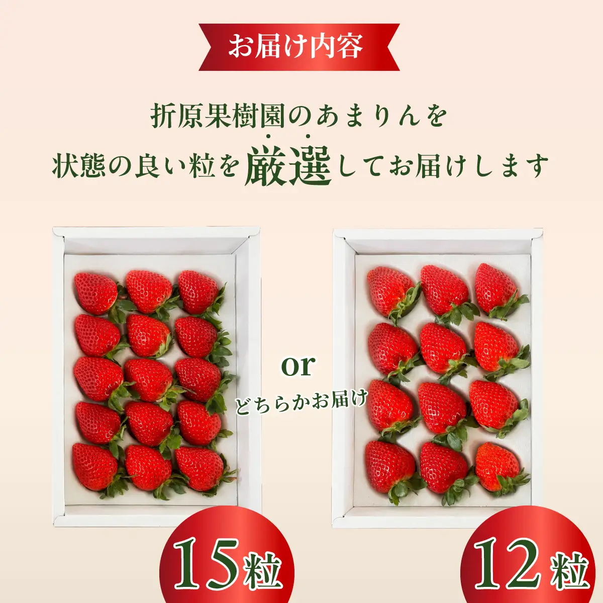 【先行予約】いちご あまりん 12粒 or 15粒 贈答 折原果樹園 あまりん