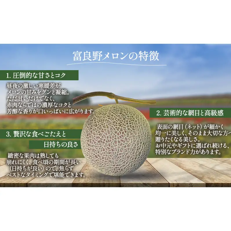 【先行予約】富良野メロン 赤肉 大玉 1玉（2.2kg以上）北海道 ふらのメロン フルーツ 果物 2027年発送