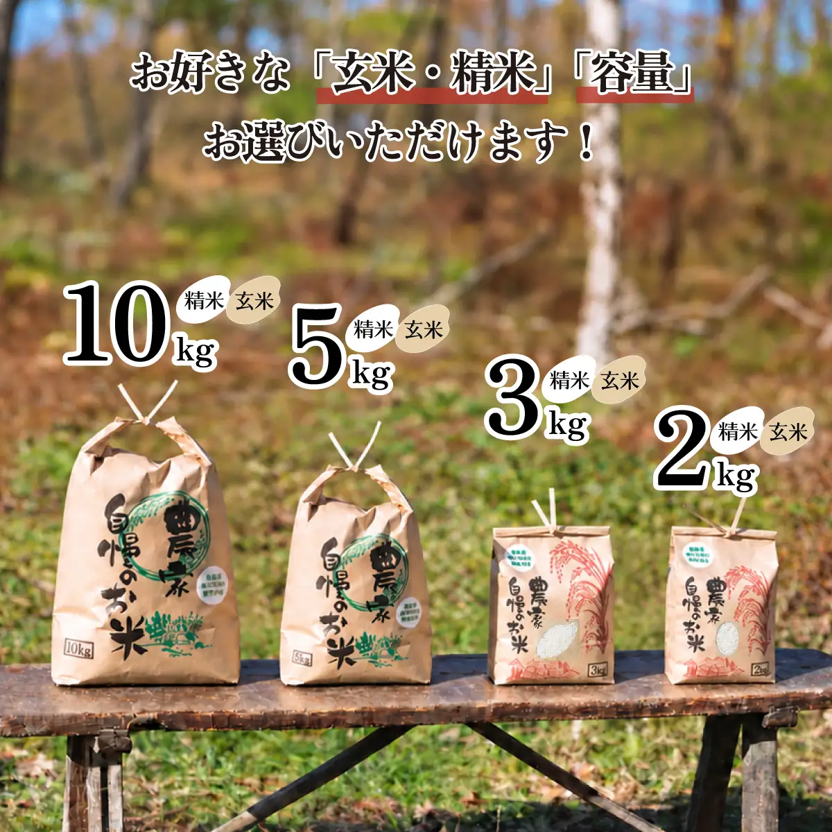 【10月発送】茨城県下妻市産 なごみ米 （ コシヒカリ ） 精米 10kg 【 お米 コシヒカリ 米 無農薬 無化学肥料 無除草剤 精米 ブランド米 茨城県産 】