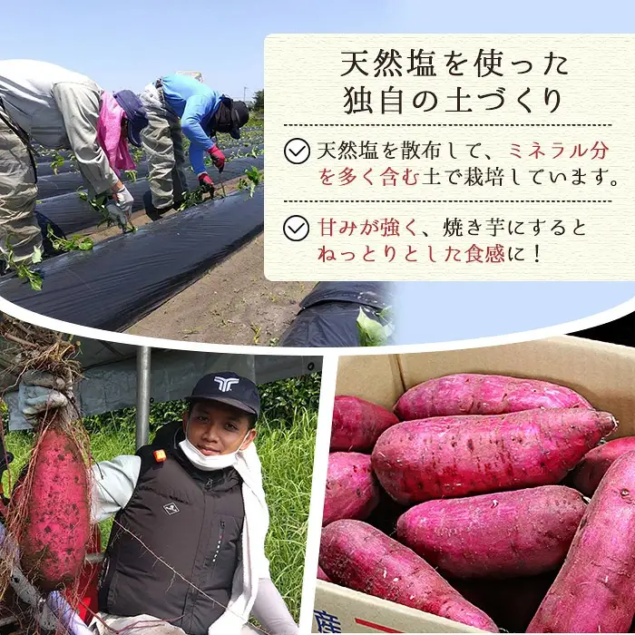 鹿児島県産 塩蜜いも(5kg)　さつまいも 紅はるか 焼き芋【曽於市観光協会】A279-v01