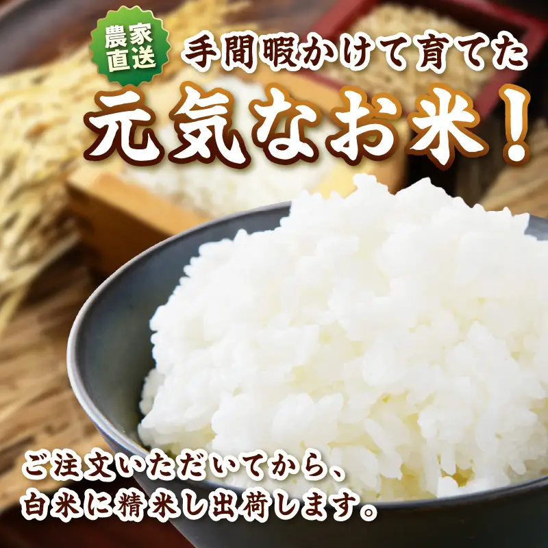 にじのきらめき（精米済）　５kg【1244】