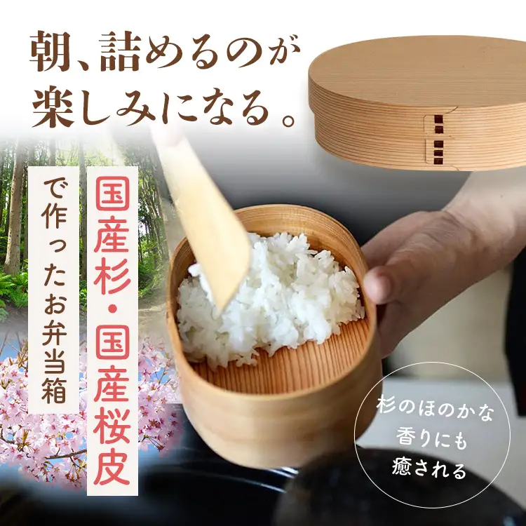 弁当箱 だえん 大 弁当箱
