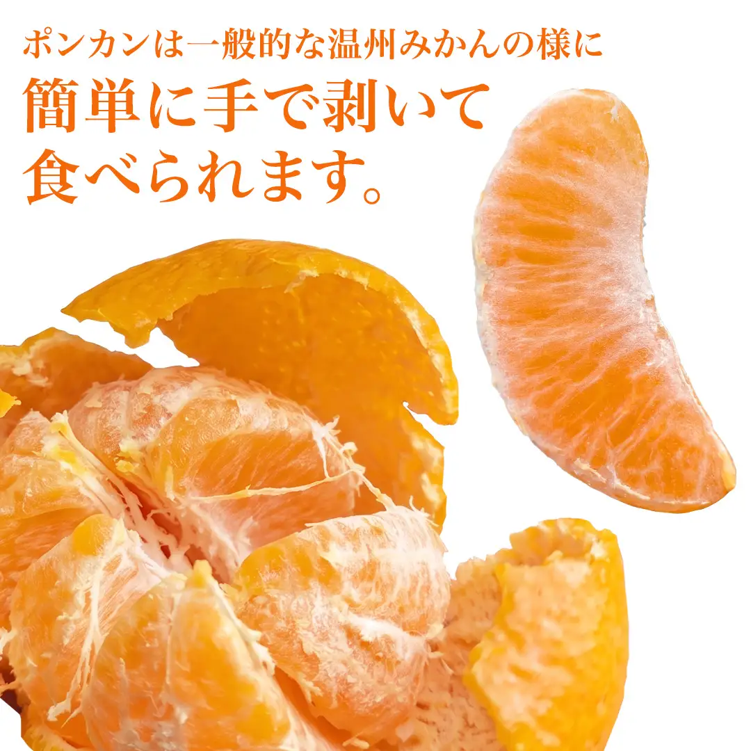 大崎上島産 ポンカン 5kg ( 30～40個程度 ) ぽんかん 柑橘 みかん フルーツ 柑橘 蜜柑 お取り寄せ