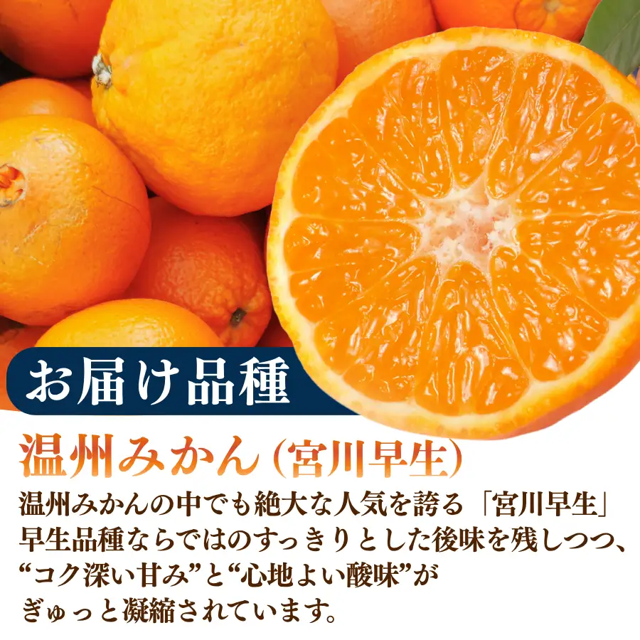 温州みかん 5kg 【 温州みかん 】