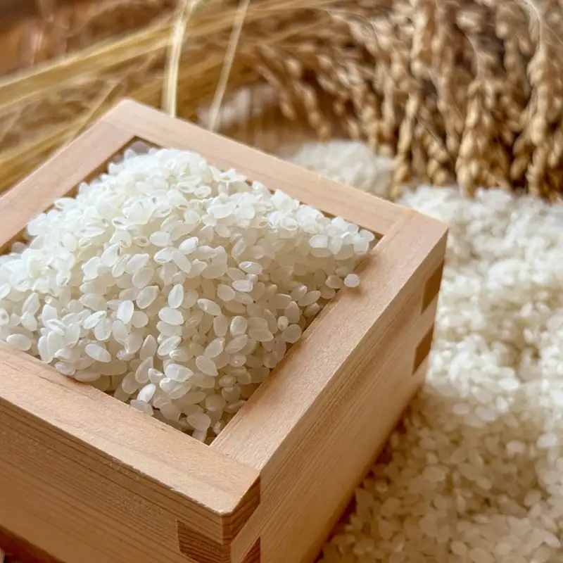 【令和8年産・白米5kg】長野県産コシヒカリ 「しげちゃん米」（北海道・沖縄県・離島は配送不可） こしひかり 精米 新米 2026年産 産地直送 信州 佐久市 旬彩