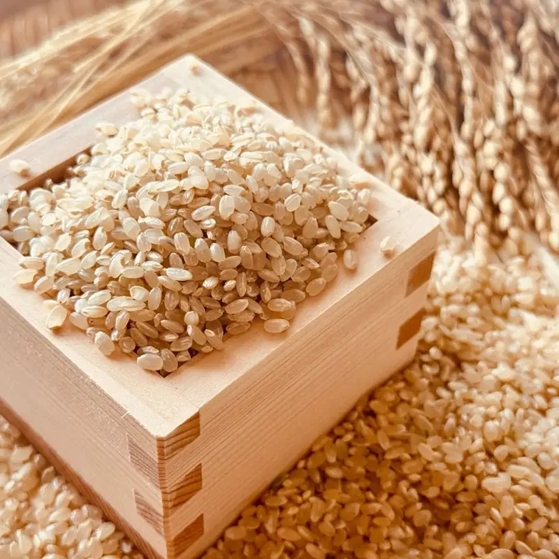 【令和8年産・玄米5kg】長野県産コシヒカリ 「しげちゃん米」（北海道・沖縄県・離島は配送不可） こしひかり 新米　2026年産 産地直送 信州 佐久市 旬彩