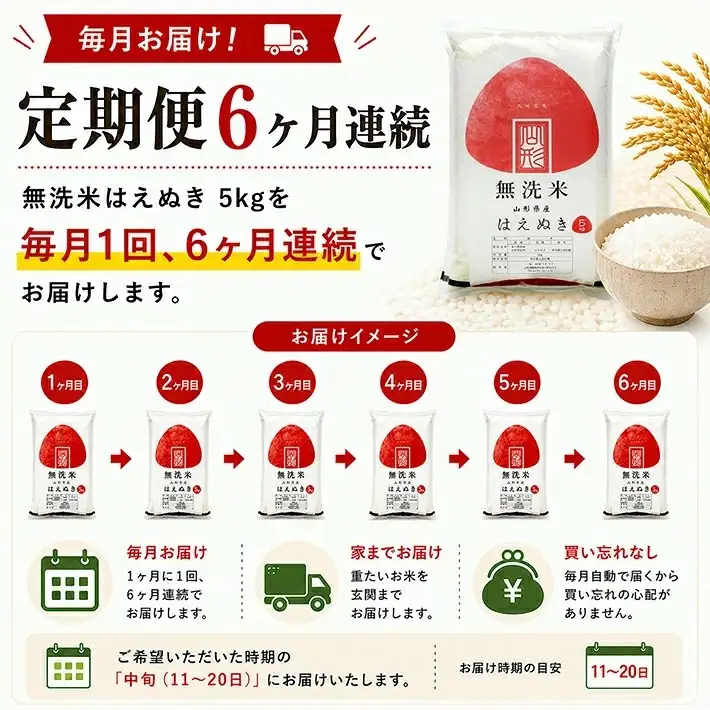 (1月～6月)≪6ヶ月定期便≫ 無洗米 はえぬき 5kg×6ヶ月連続 計30kg 山形県産 毎月中旬にお届け 東北 山形県 遊佐町 庄内地方 精米 白米 セット 阿部ベイコク[1738T01]