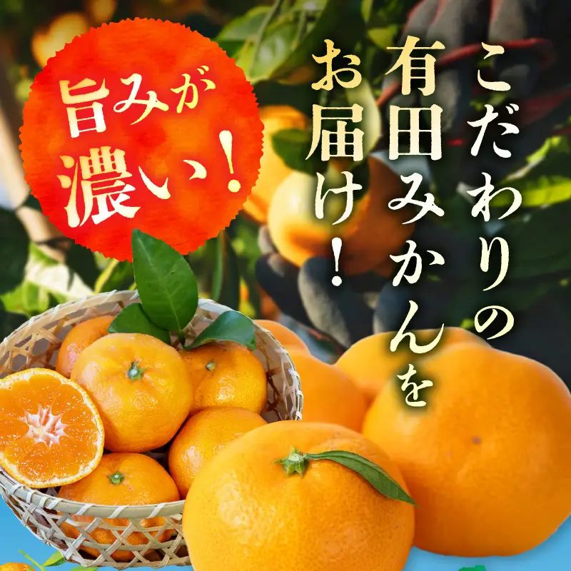 黒潮が育てた 有田みかん 約5kg ご家庭用(2S～3Lサイズ混合）_AE6109