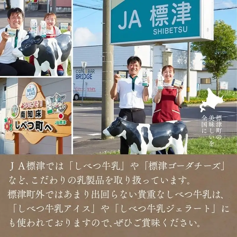 【雪印北海道】 さけるチーズ スモーク味 24個 チーズ 【AE】