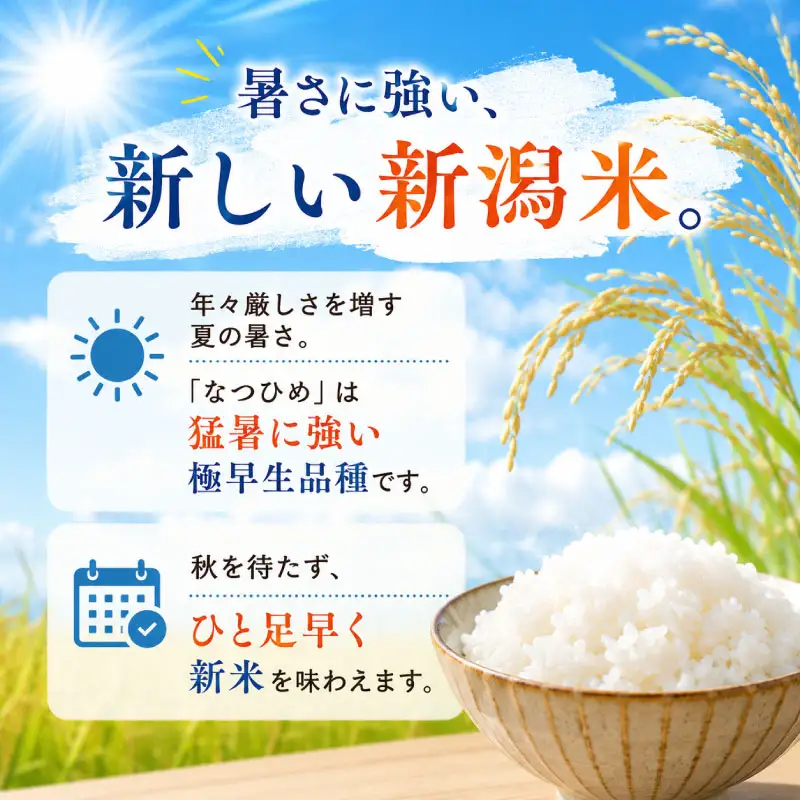 最短3日発送 新米 なつひめ 4kg 新米 新品種 令和8年産 米 白米 こめ 大粒 ごはん おにぎり お弁当 農家直送 産地直送 ふるさと納税 川瀬農園 新潟 新潟県 新発田市 kwsNH001_F