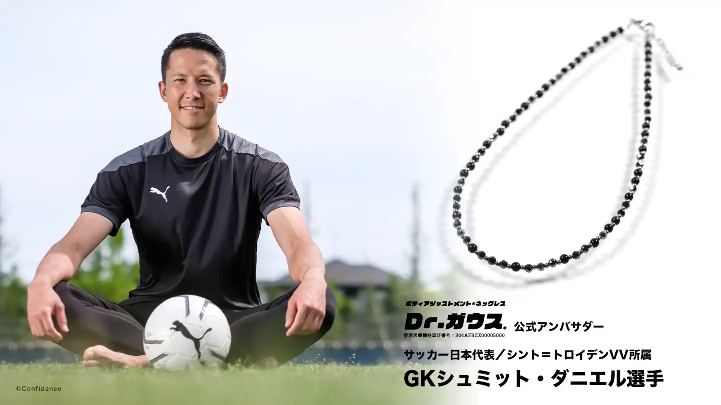 Dr.ガウス スタンダードグレード　Lサイズ