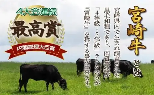 《2026年11月発送》宮崎牛ロースステーキ 200g×2枚 合計400g_K033-006-11