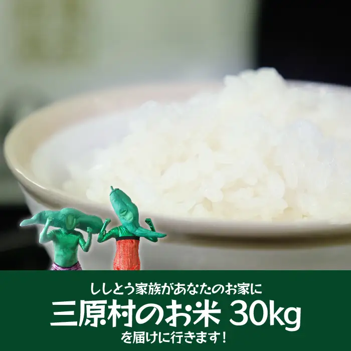 ししとう家族の宅配便！！