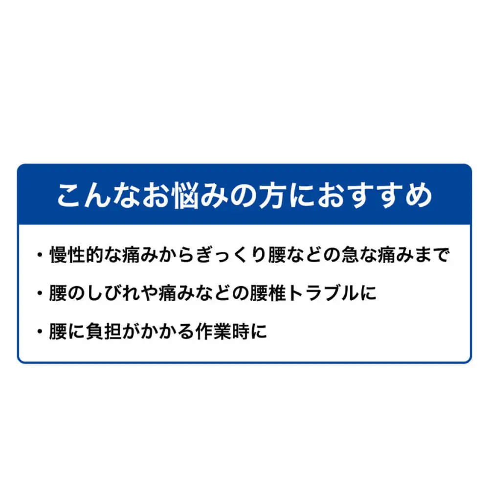 ファイテン サポーター ナノメタックス フィットタイプ 腰用 M サポーター