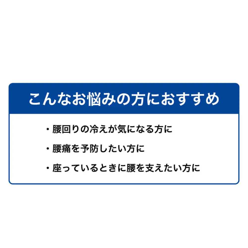 ファイテン サポーター ナノメタックス ソフトタイプ 腰用 L～LL サポーター