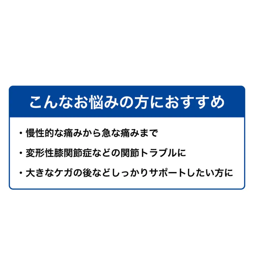 ファイテンサポーター ナノメタックス フィットタイプ ひざ用 L サポーター