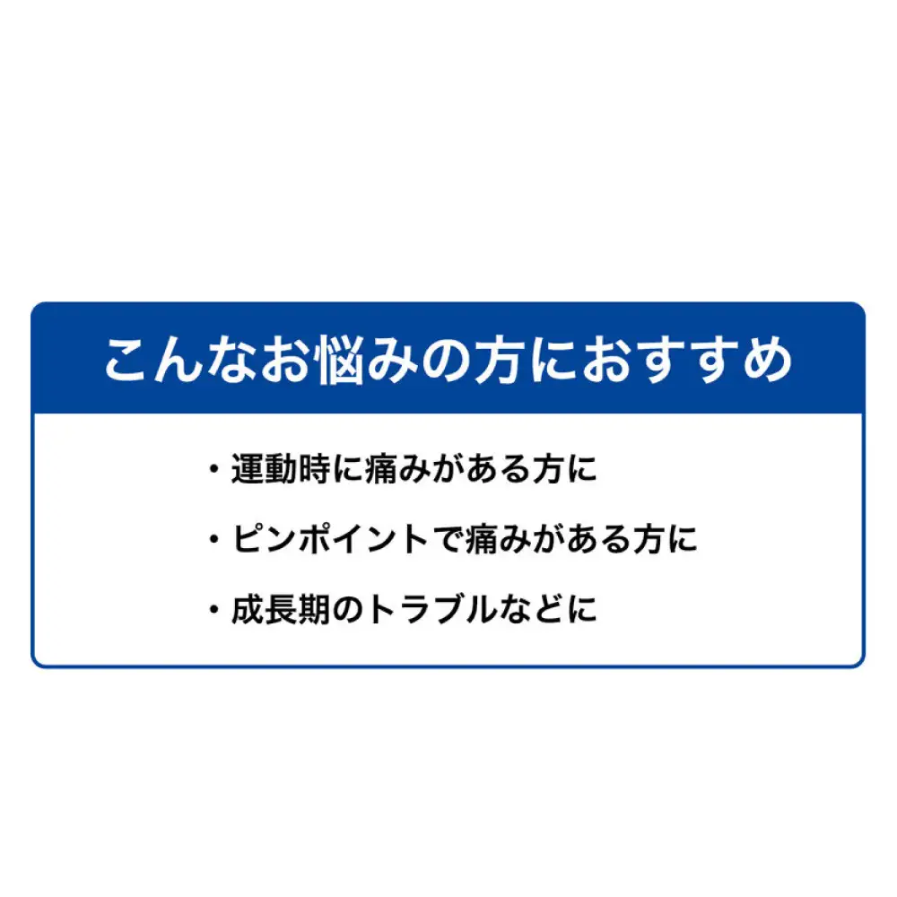 ファイテンサポーター ナノメタックス フィットタイプ ひざ用バンド L サポーター