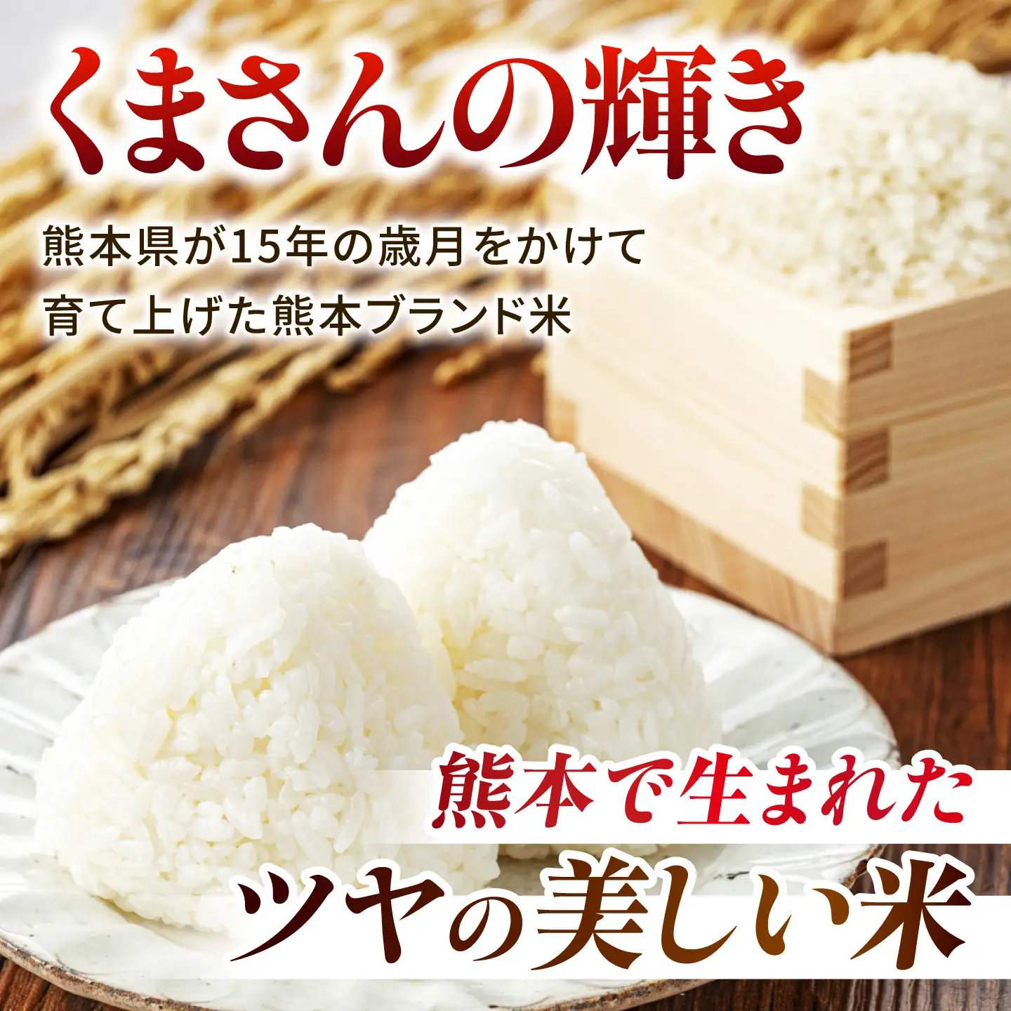 【新米先行予約】〈令和8年度産米〉熊本県産 くまさんの輝き 白米 20kg (5kg×4) 米 お米 ご飯 こめ【有限会社 あそしな米穀】[ZBI050]