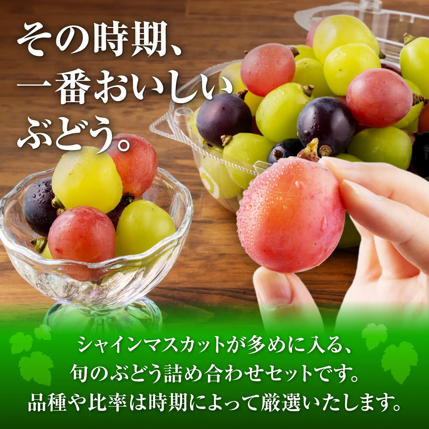 【先行予約】　訳あり ぶどう 切り落とし セット 旬の詰め合わせパック 計約1kg 1000g 葡萄 ブドウ フルーツ 熊本県 山鹿市【合同会社 社方園】[ZBZ057]