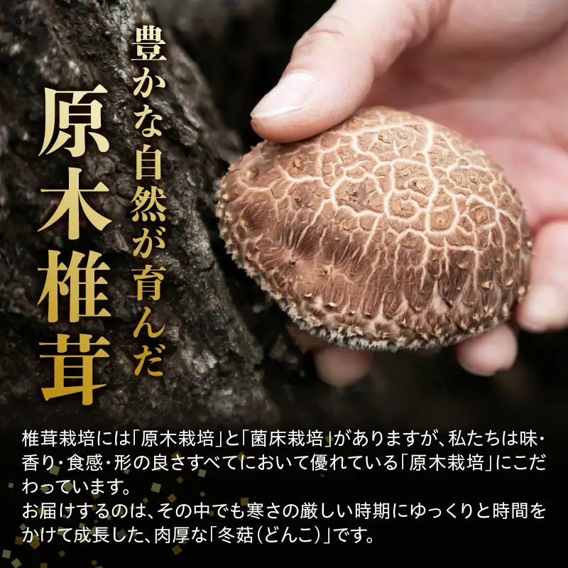 冷凍 原木しいたけ（冬菇）1kg F07040