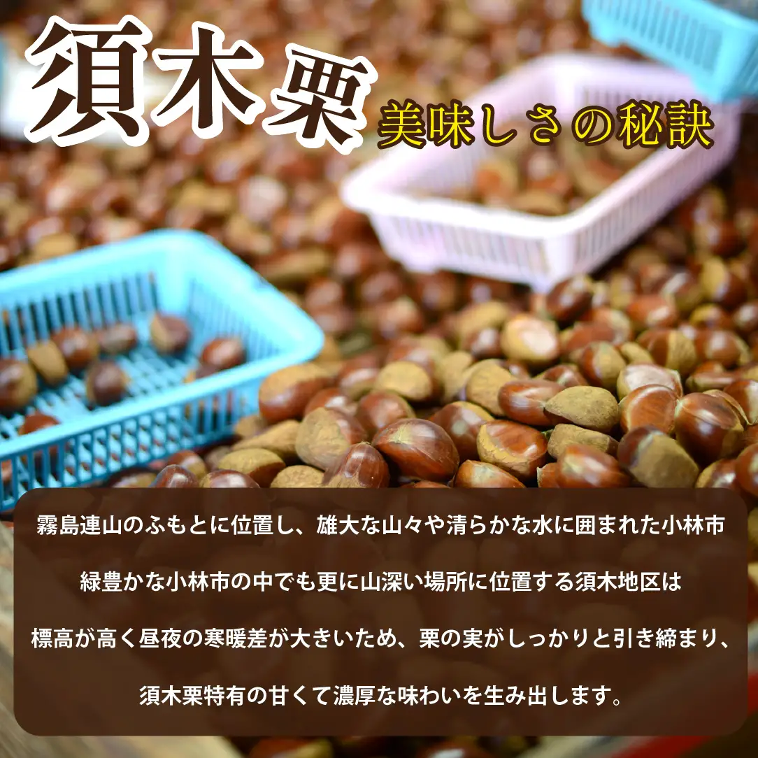栗 須木白むき栗（冷凍） 約1.0kg 栗
