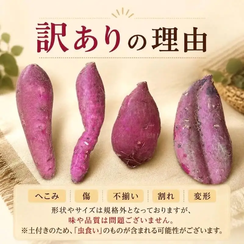 さつまいも 生芋 品種ランダム 約10kg 訳あり サツマイモ 【9月中旬?12月発送】