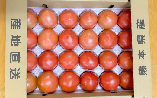麗妃トマト（栽培自慢） 約4kg 【2026年12月上旬発送開始】 野菜 やさい とまと トマト 熊本県産 国産