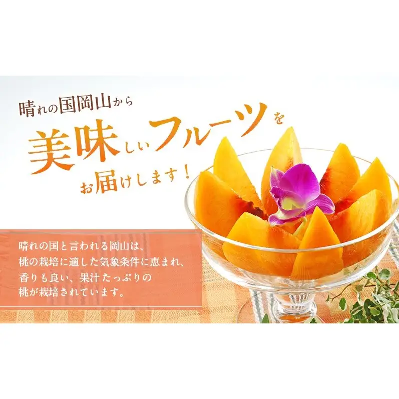 桃 2027年 先行予約 岡山 黄金桃 ご家庭用 約2kg 6～9玉入り もも モモ 岡山県産 国産 フルーツ 果物 直送！せとうちバスケット スイーツ こだわり 特産品 白い 香り 果汁 シーズン 濃厚