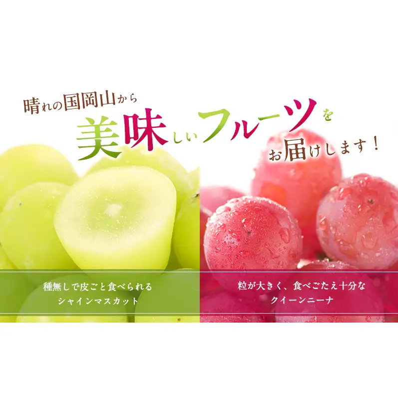 ぶどう 2027年 先行予約 シャインマスカット ＆ クイーンニーナ 各1房 約1.2kg ブドウ 葡萄 岡山県産 国産 フルーツ 果物 直送！せとうちバスケット