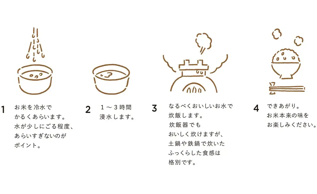令和8年産 羽咋米 自然栽培 精米 5kg 羽咋米