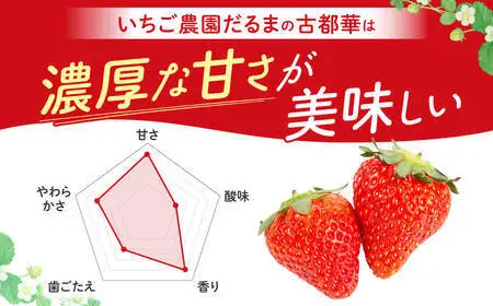 いちご 古都華  サイズ混合 約270g×2パック【4月～5月発送分】【drm009】