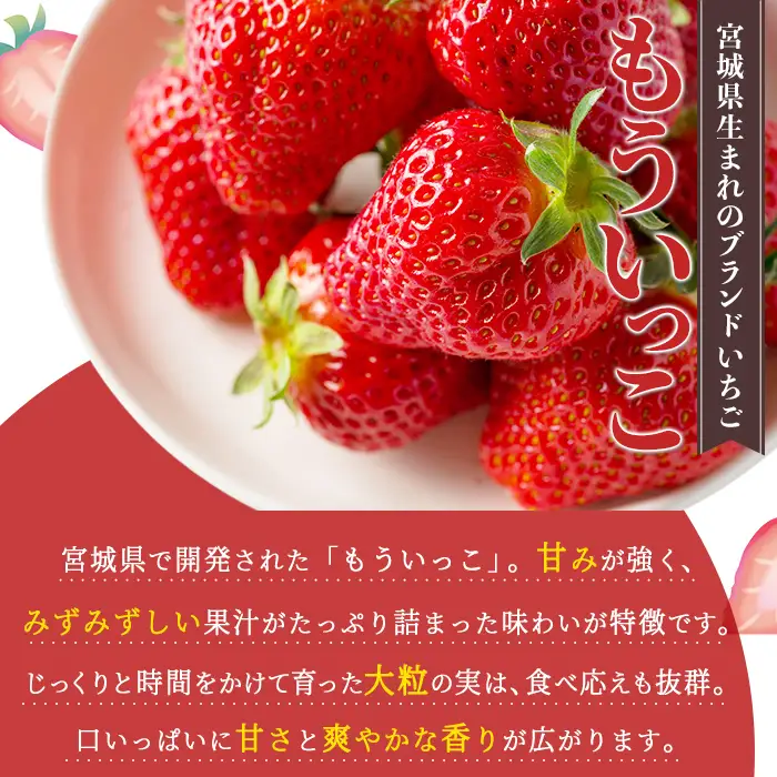 ≪先行予約受付中！≫宮城県登米市産いちご もういっこ 1.2kg（4パック） フルーツ 果物 果実 デザート くだもの いちご イチゴ 苺 ストロベリー 甘い パック 【いちごファームやなぎぶち】tm702