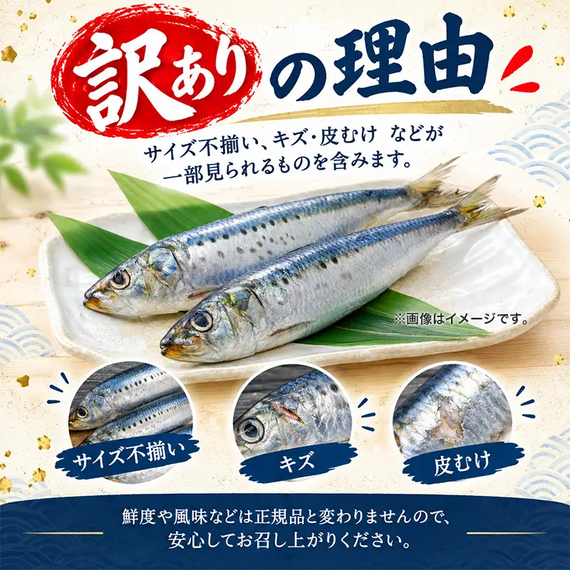 鰯 いわし 約4kg 訳あり 無塩 鰯 南伊勢町
