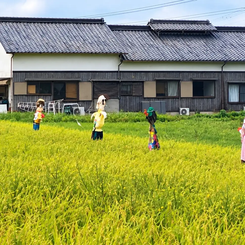 令和8年度産　ヒノヒカリ米　5kg