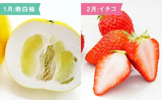 【 6ヶ月連続定期便 】 熊本の旬のフルーツお届け便 （ 1月上旬?6月下旬 ・ 年6回コース ） 果物 フルーツ 晩白柚 イチゴ デコポン オレンジハート メロン スイカ 肥後グリーン 果実 果汁 果肉 詰め合わせ 食べ比べ 熊本県産 国産 定期配送 定期 【 2027年1月より発送開始 】