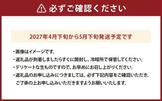 赤肉メロンレノンスター （ 1玉 ） メロン 果物 フルーツ 果実 果汁 果肉 甘み ケーキ ゼリー ジュース フルーツサンド 熊本県産 国産 【 2027年4月下旬から5月下旬発送予定 】
