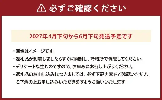 小玉スイカ （ 3 ～ 4玉 ） 果物 フルーツ 果実 果汁 果肉 甘み 贈り物 プレゼント 贈答用 熊本県産 国産 【 2027年4月下旬から6月下旬発送予定 】