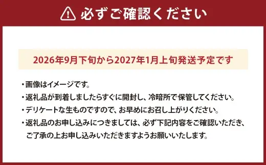 有機みかん 約5kg みかん 果物 フルーツ 柑橘 果実 果汁 果肉 甘み 酸味 贅沢 熊本県産 国産 【 2026年9月下旬から2027年1月上旬発送予定 】