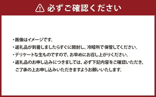 アイコトマト 約3kg トマト 野菜 ミニトマト サラダ お弁当 濃厚 フレッシュ みずみずしい 熊本県産 国産