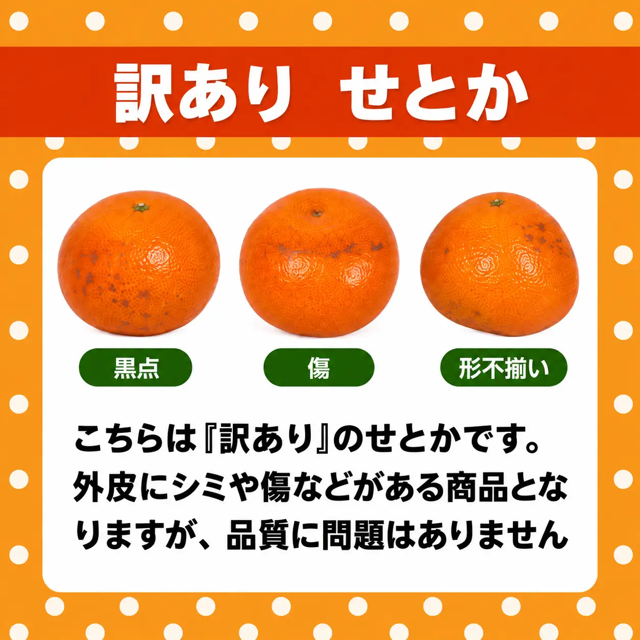 【先行予約】訳あり せとか 3kg 柑橘の大トロ かんきつ みかん 柑橘 家庭用みかん 愛媛県 愛南町 みかん職人武田屋