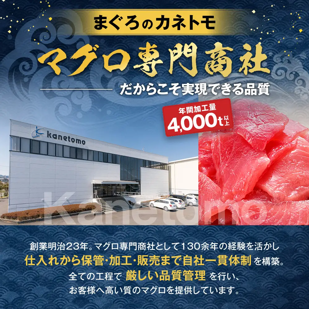 まぐろ 食べ比べセット 1kg まぐろ
